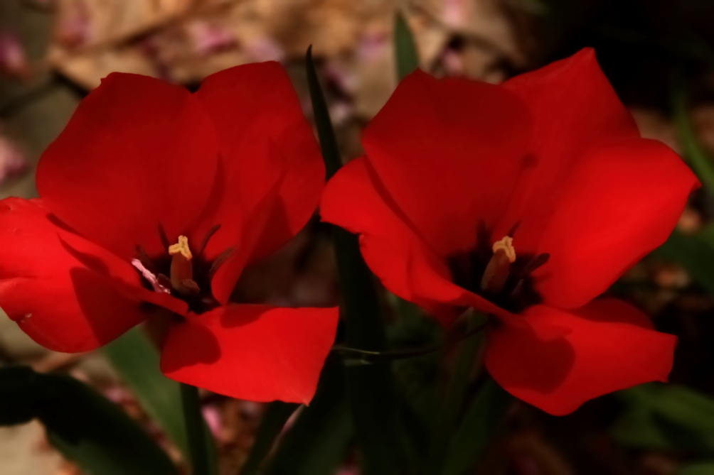 2011 05 01 IMG 30053e